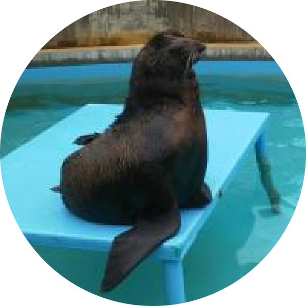 渋川マリン水族館