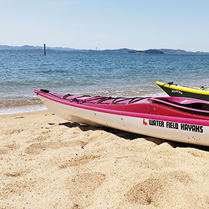 マリンアクティビティー協会