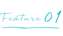 てんとうみの特徴