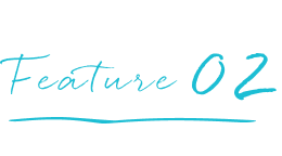 てんとうみの特徴