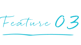 てんとうみの特徴