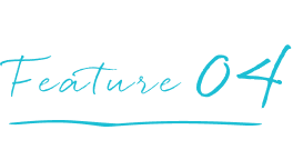 てんとうみの特徴
