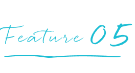 てんとうみの特徴