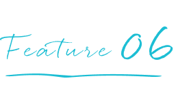 てんとうみの特徴
